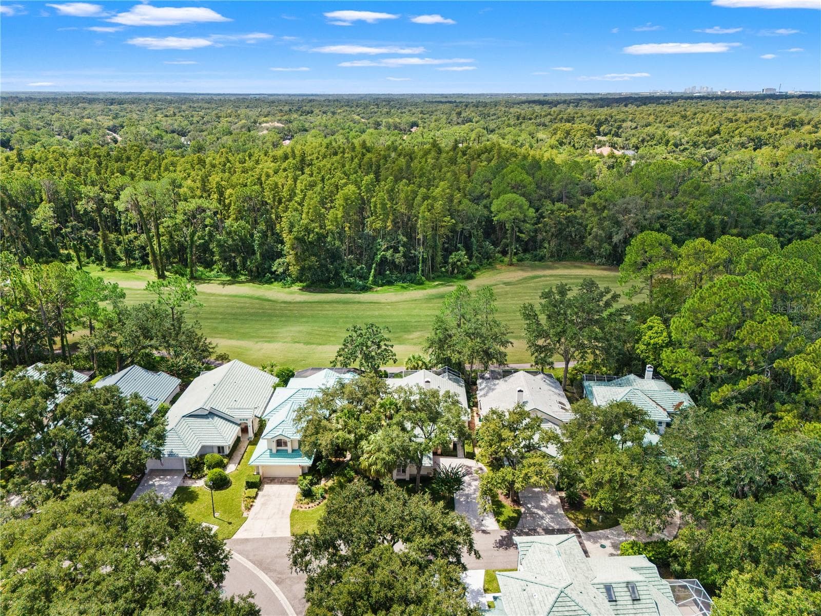 Single Family Residence at 6005 FAIRWAY PALMS CT, TAMPA, photo 57 of 58