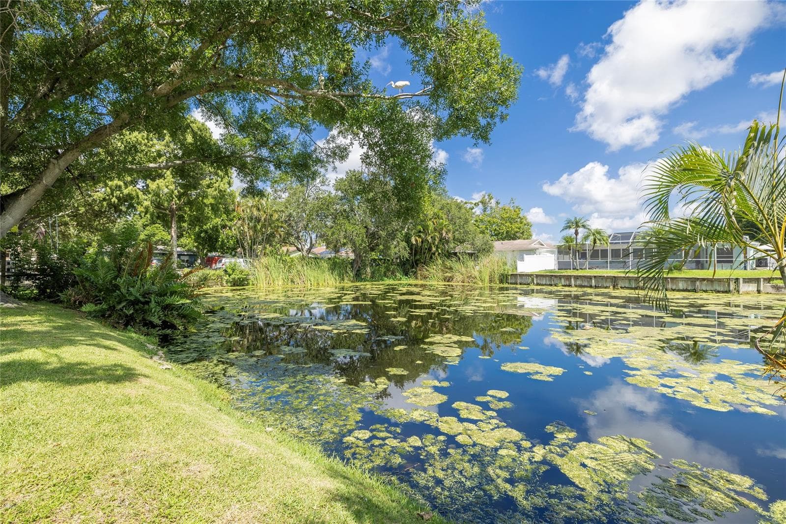 Peaceful water - 6355 102ND TER N, PINELLAS PARK
