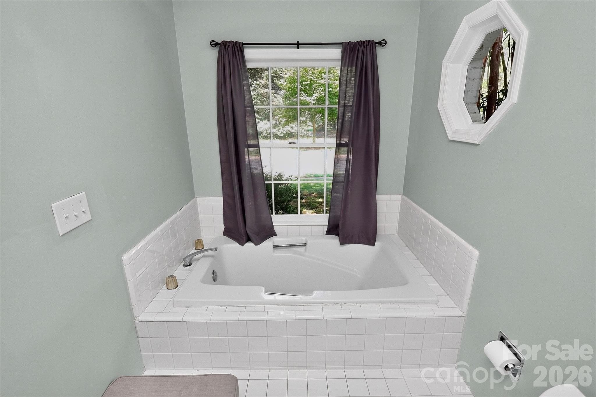 Primary tub with large window - 4015 Thistledown Court, Charlotte