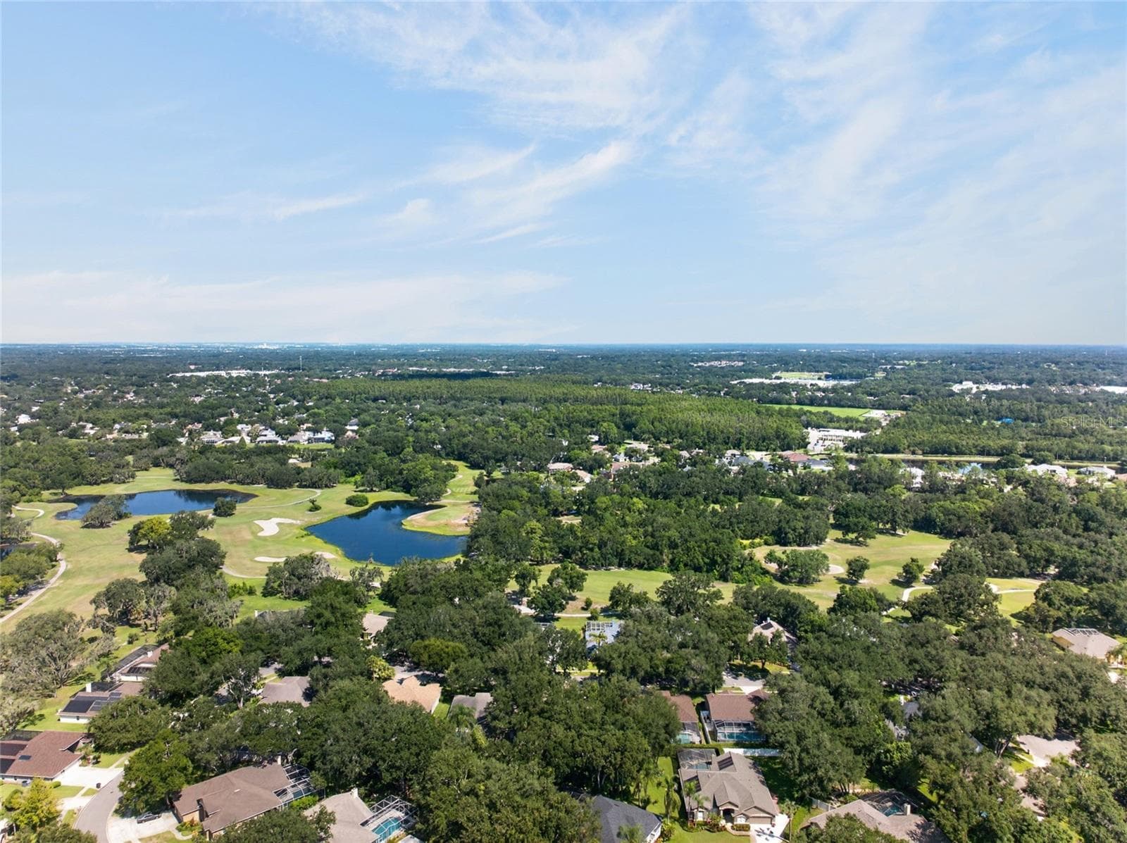 Single Family Residence at 2243 EAGLE BLUFF DR, VALRICO, photo 51 of 54