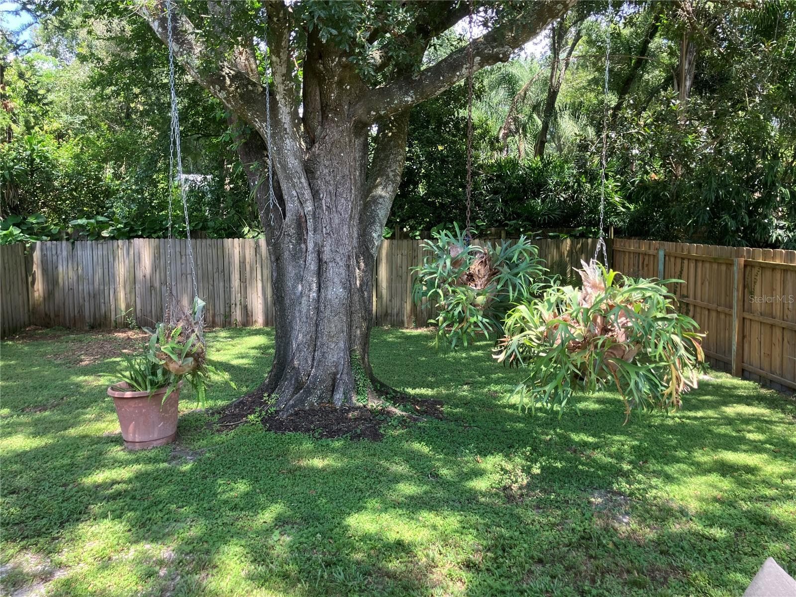 Back yard - 3440 LAUREL DALE DR, TAMPA