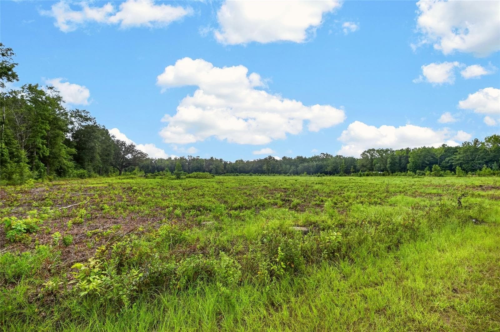 Land at NW 239, ALACHUA, photo 6 of 14