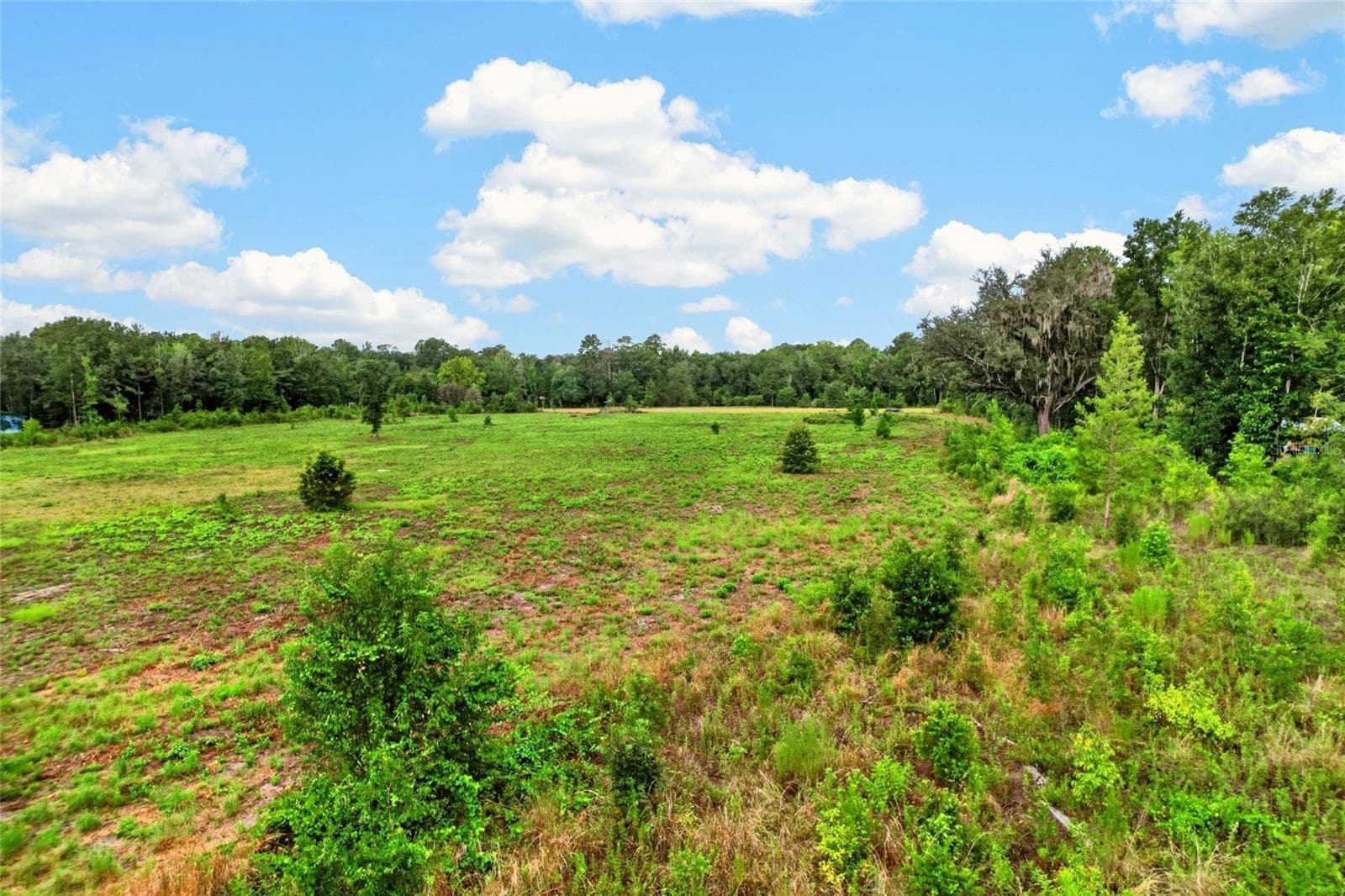 Land at NW 239, ALACHUA, photo 7 of 14