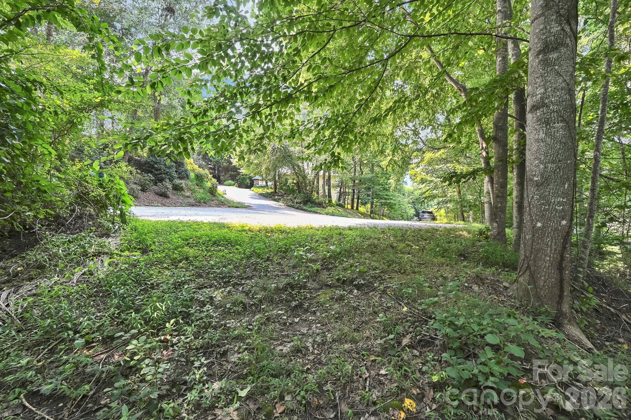 gentle slope - 85 Shinnecock Drive, Mills River