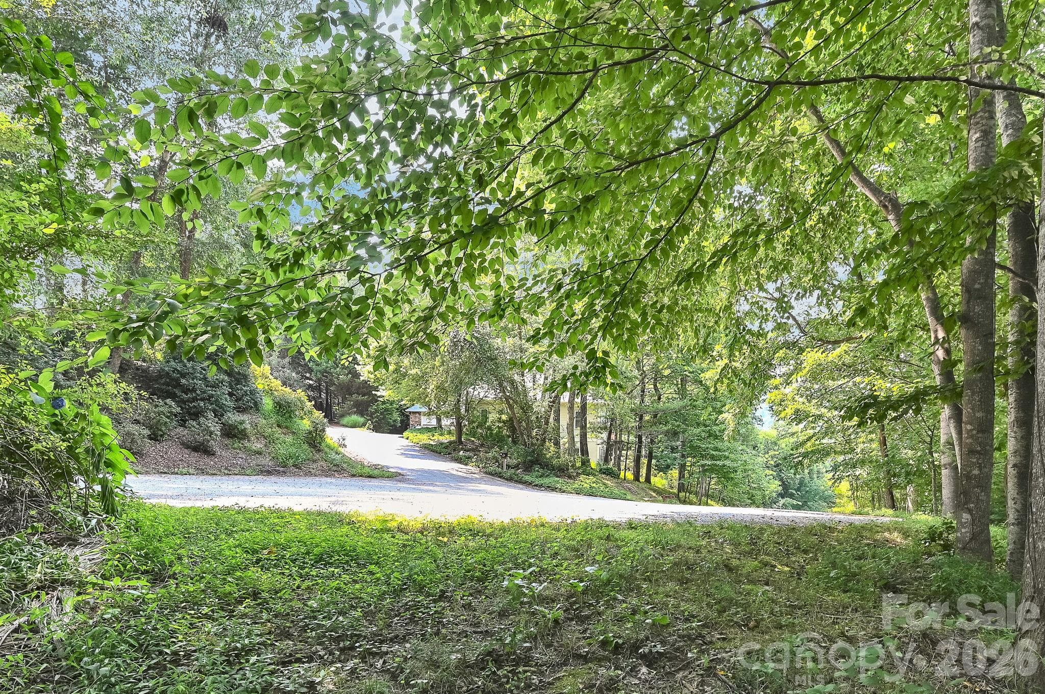 Lot at 85 Shinnecock Drive, Mills River, photo 7 of 29