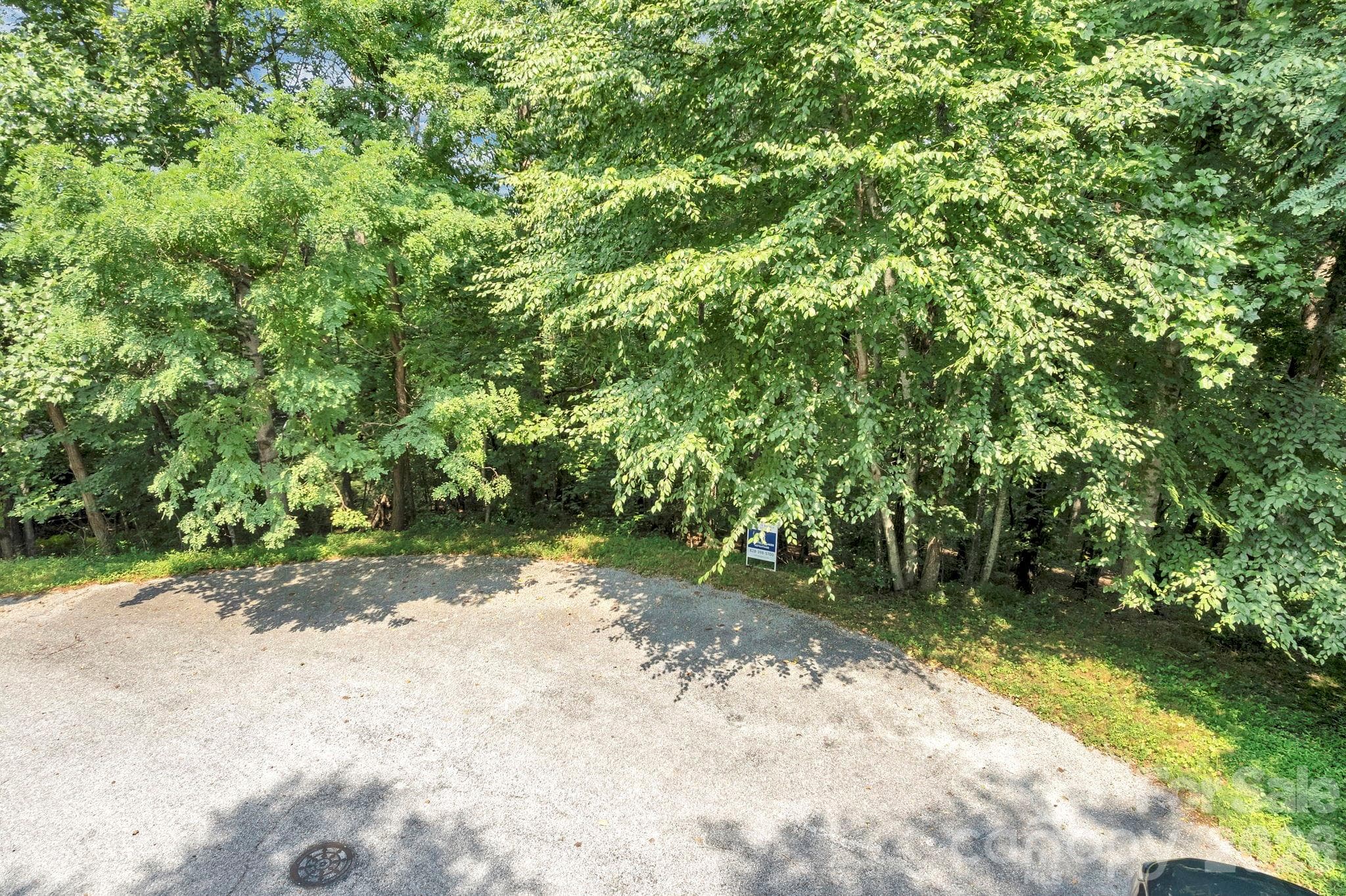 Lot at 85 Shinnecock Drive, Mills River, photo 10 of 29
