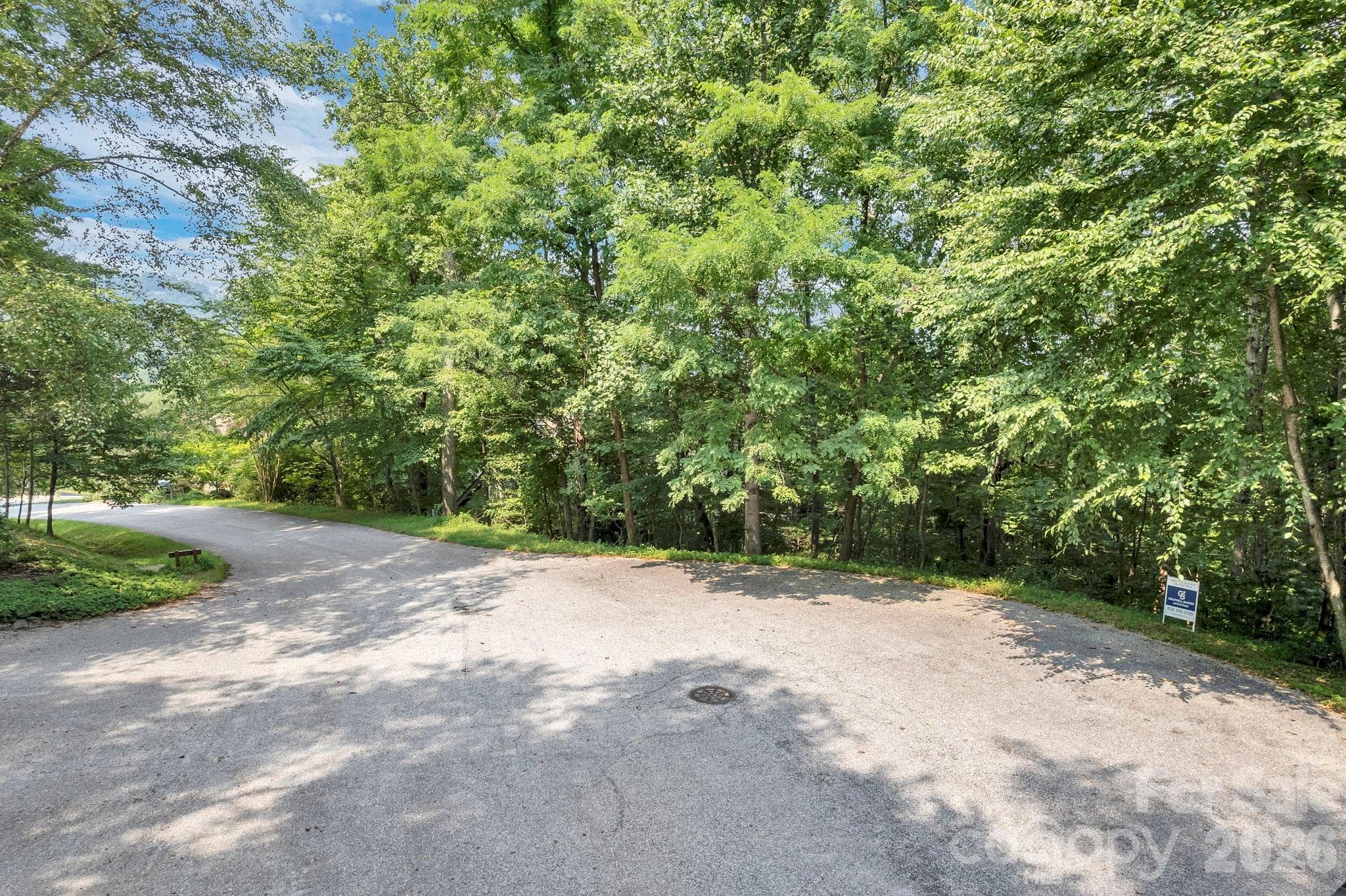 Lot at 85 Shinnecock Drive, Mills River, photo 11 of 29