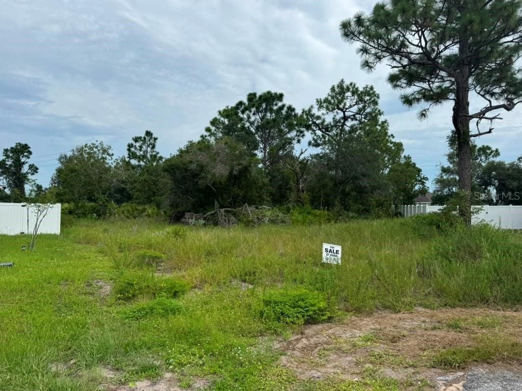 Land at 420 ST JOHNS LN, POINCIANA, photo 6 of 9