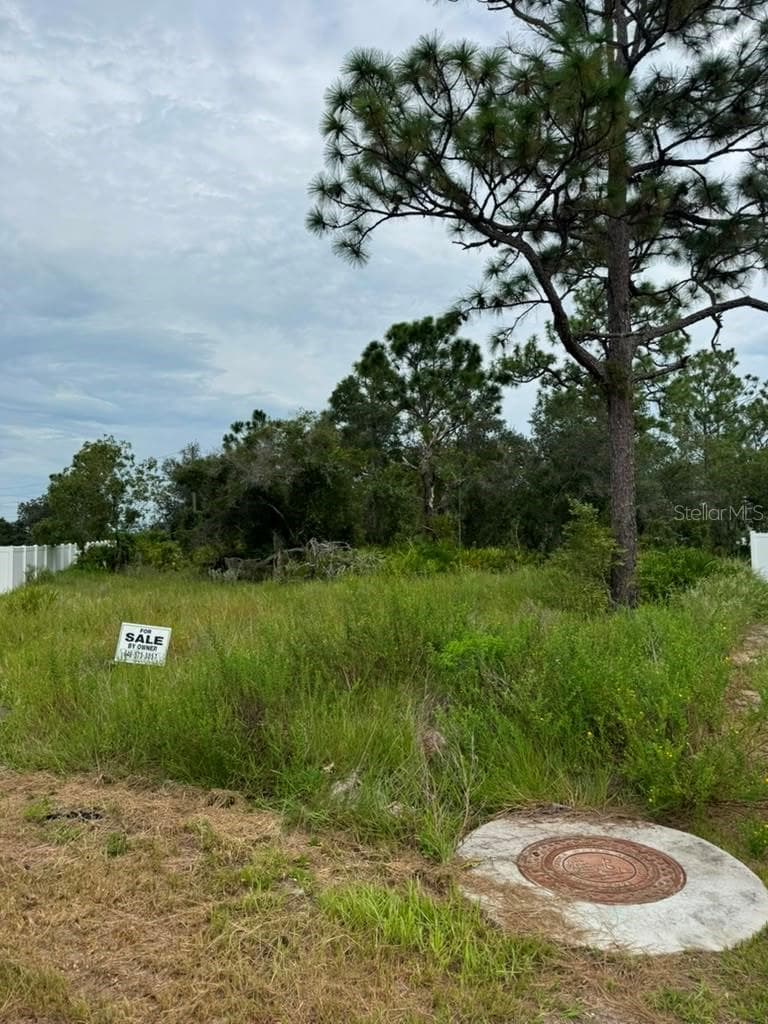 Land at 420 ST JOHNS LN, POINCIANA, photo 8 of 9