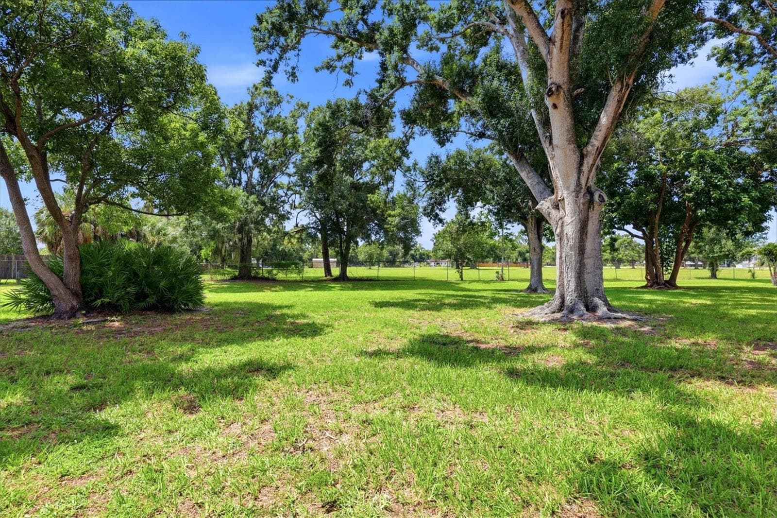 Lovely backyard with trees, shade, space and bunnies! - 4538 PAWNEE TRL #197, SARASOTA