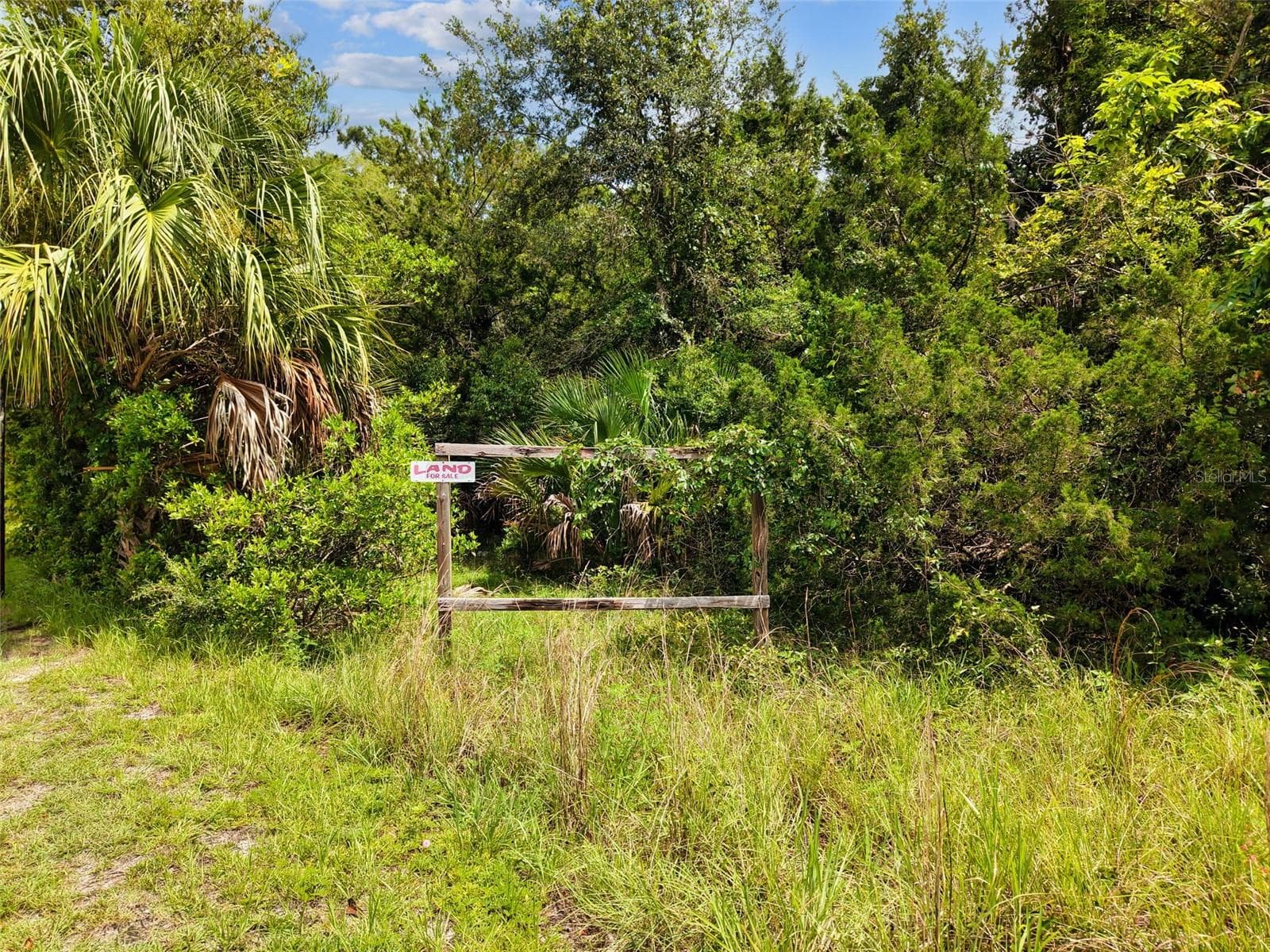 Land at 000 S MAIN STREET, CHIEFLAND, photo 7 of 15