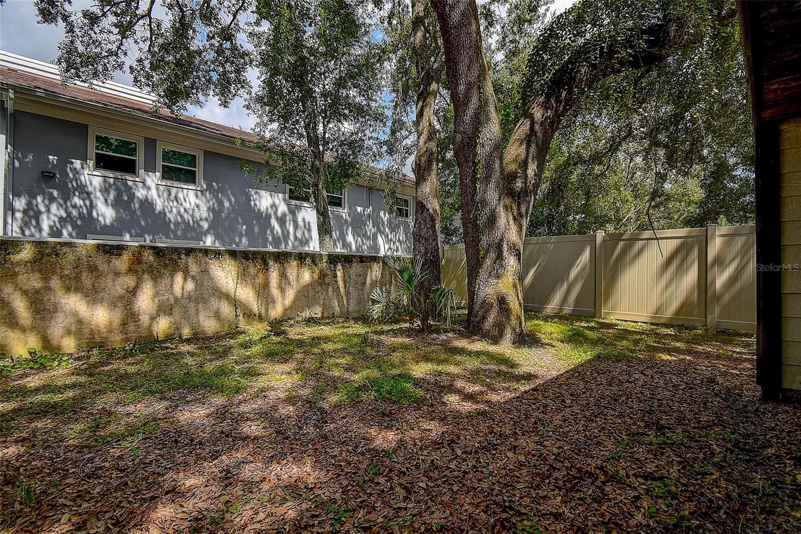 Plenty of room for parties or pets - 10306 COUNCILS WAY, TEMPLE TERRACE
