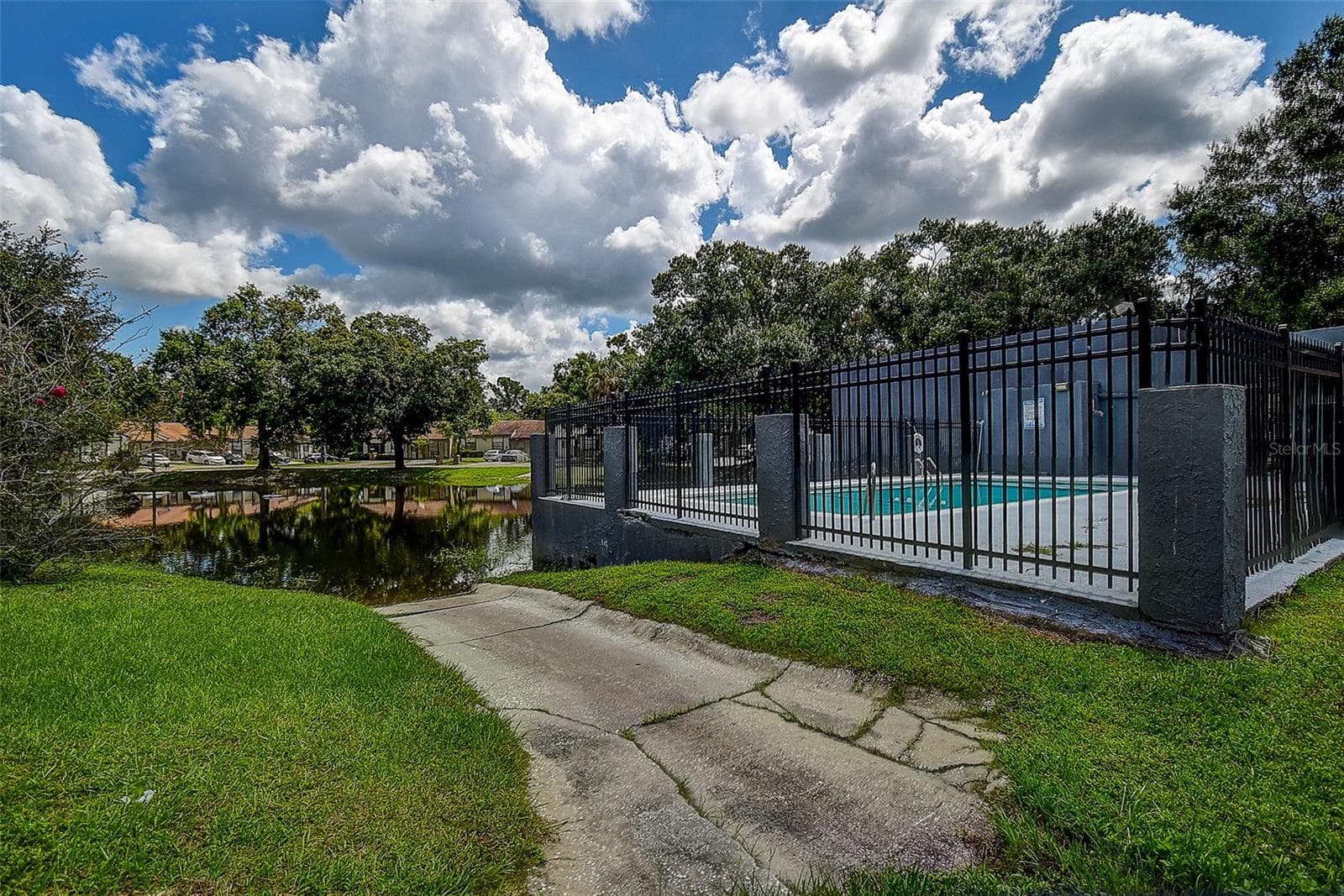 Large keyed pool overlooks lake - 10306 COUNCILS WAY, TEMPLE TERRACE