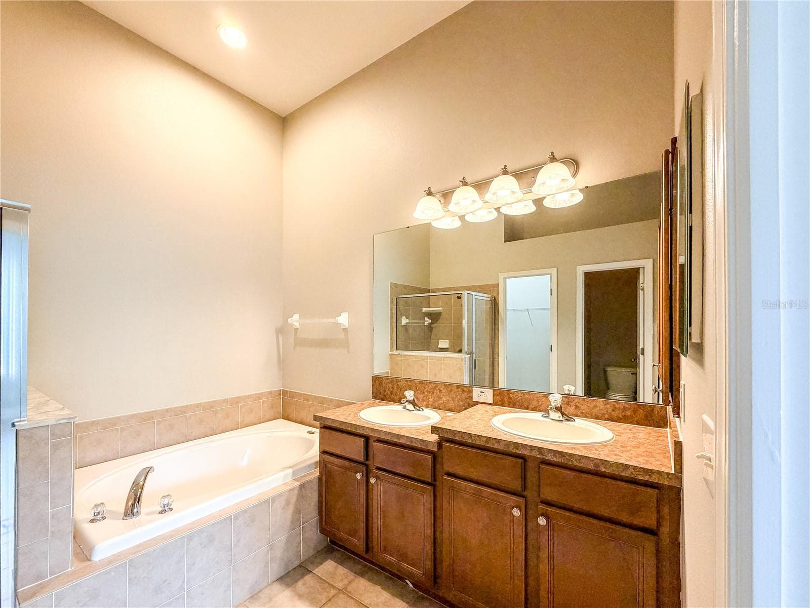 Primary bathroom - 19408 EVERTON PL, LAND O LAKES