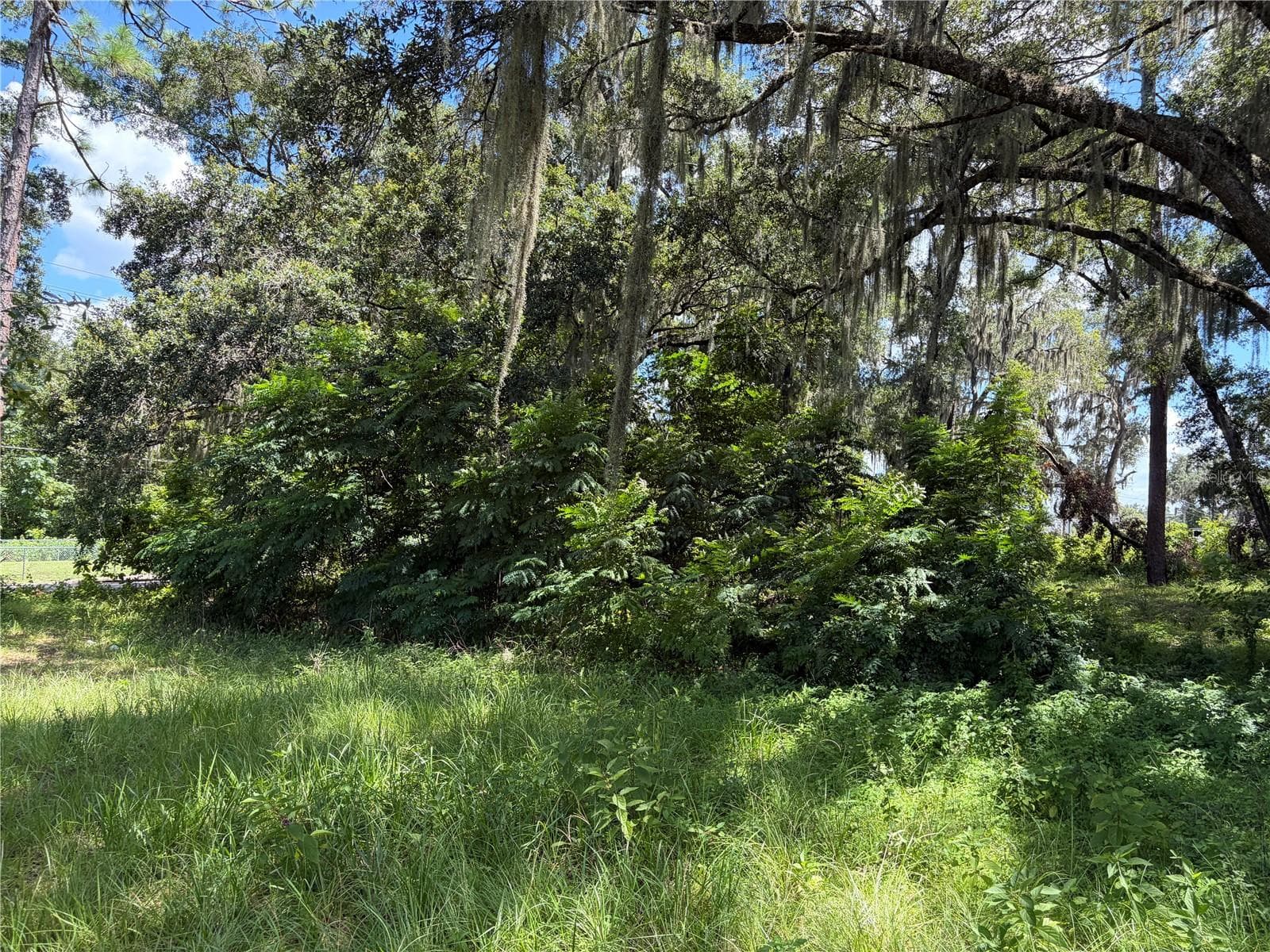 Single Family Residence at 2100 NW 21ST ST, OCALA, photo 38 of 40