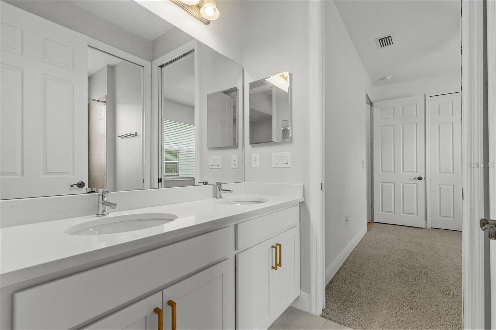 Jack-N-Jill Bathroom - 19714 LONESOME PINE DR, LAND O LAKES