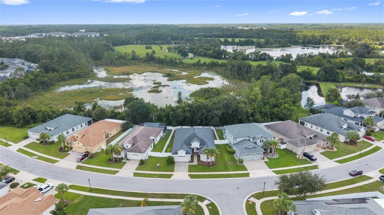 Aerial - 19714 LONESOME PINE DR, LAND O LAKES