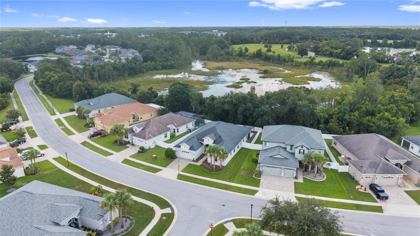 Aerial - 19714 LONESOME PINE DR, LAND O LAKES