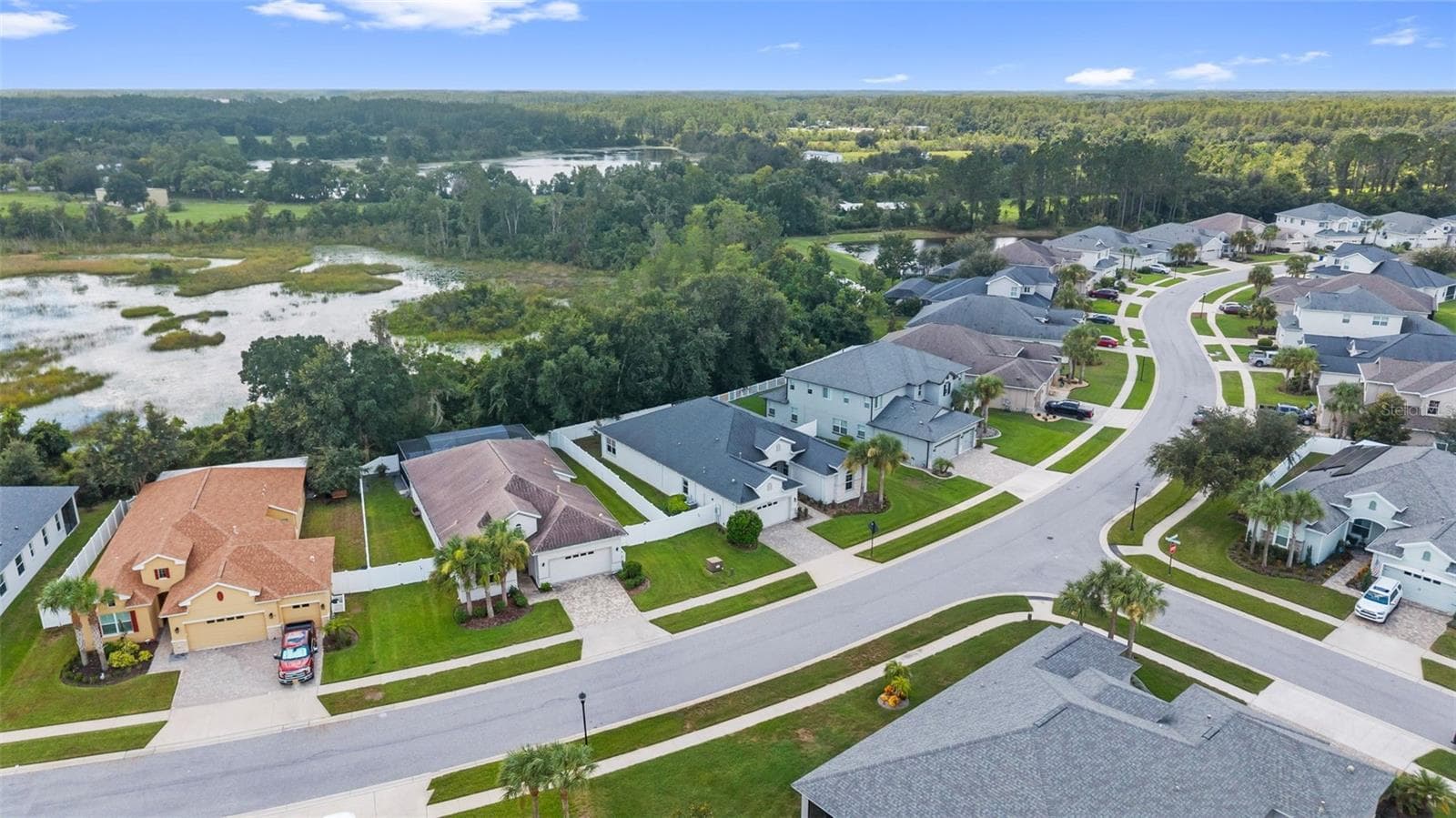 Aerial - 19714 LONESOME PINE DR, LAND O LAKES