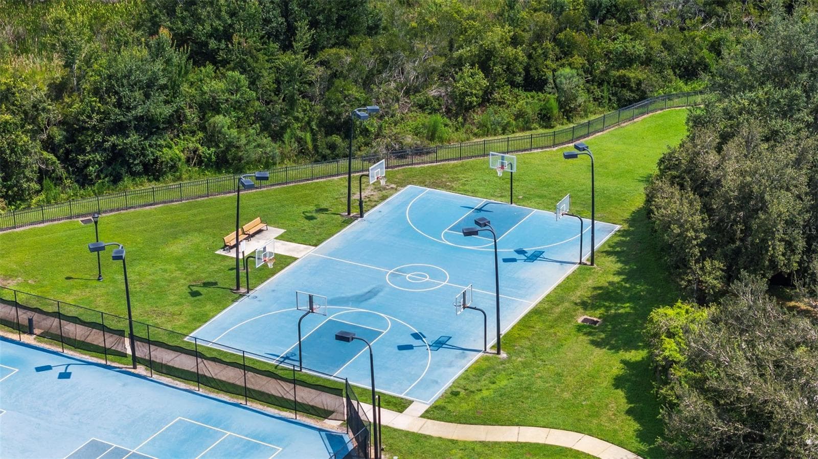 Basketball Courts/Tennis Courts - 19714 LONESOME PINE DR, LAND O LAKES