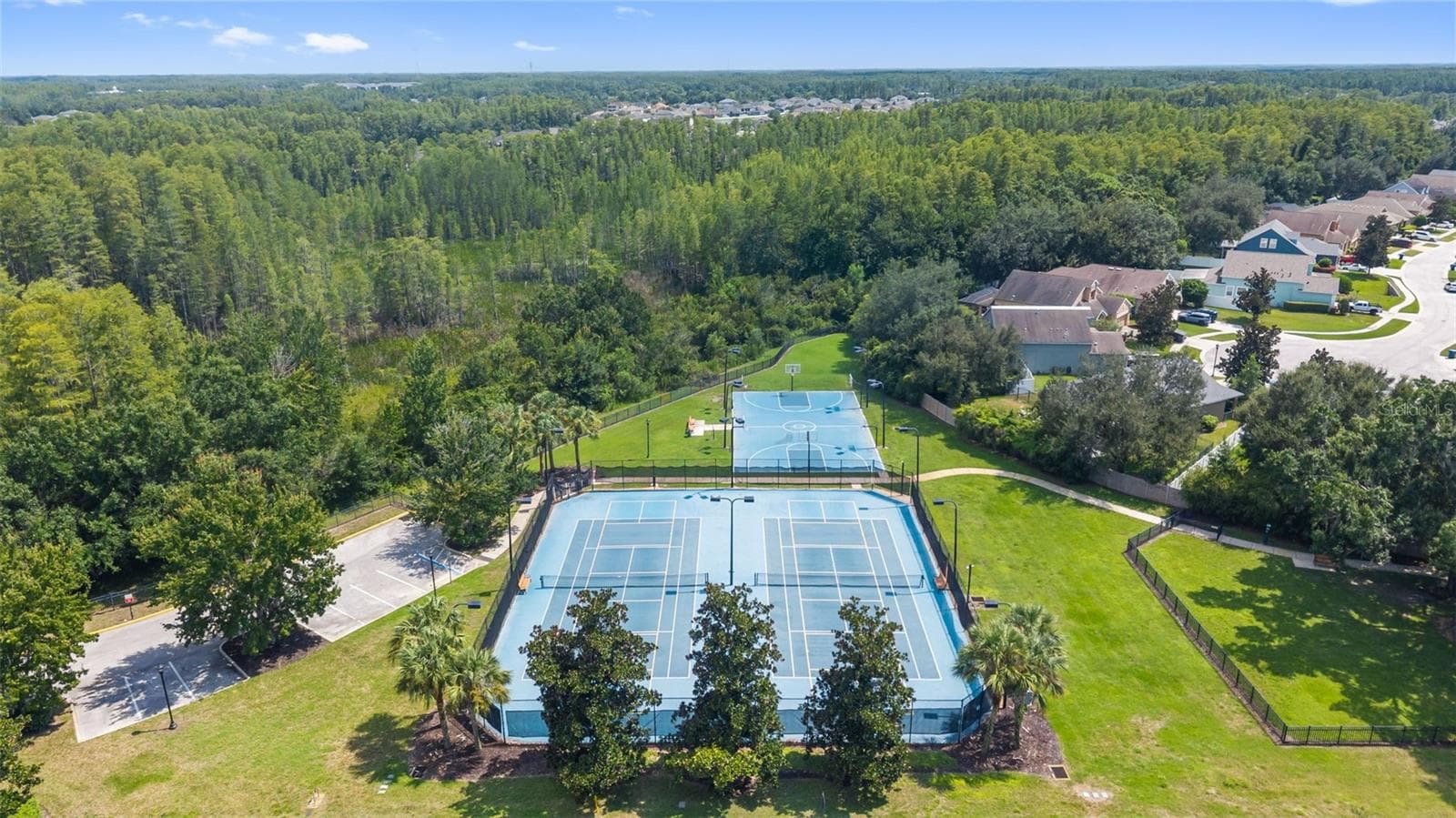 Basketball Courts/Tennis Courts/Dog Park - 19714 LONESOME PINE DR, LAND O LAKES