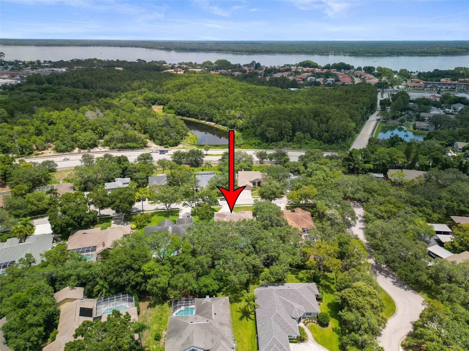 Single Family Residence at 4448 GLENBROOK DR, PALM HARBOR, photo 65 of 67