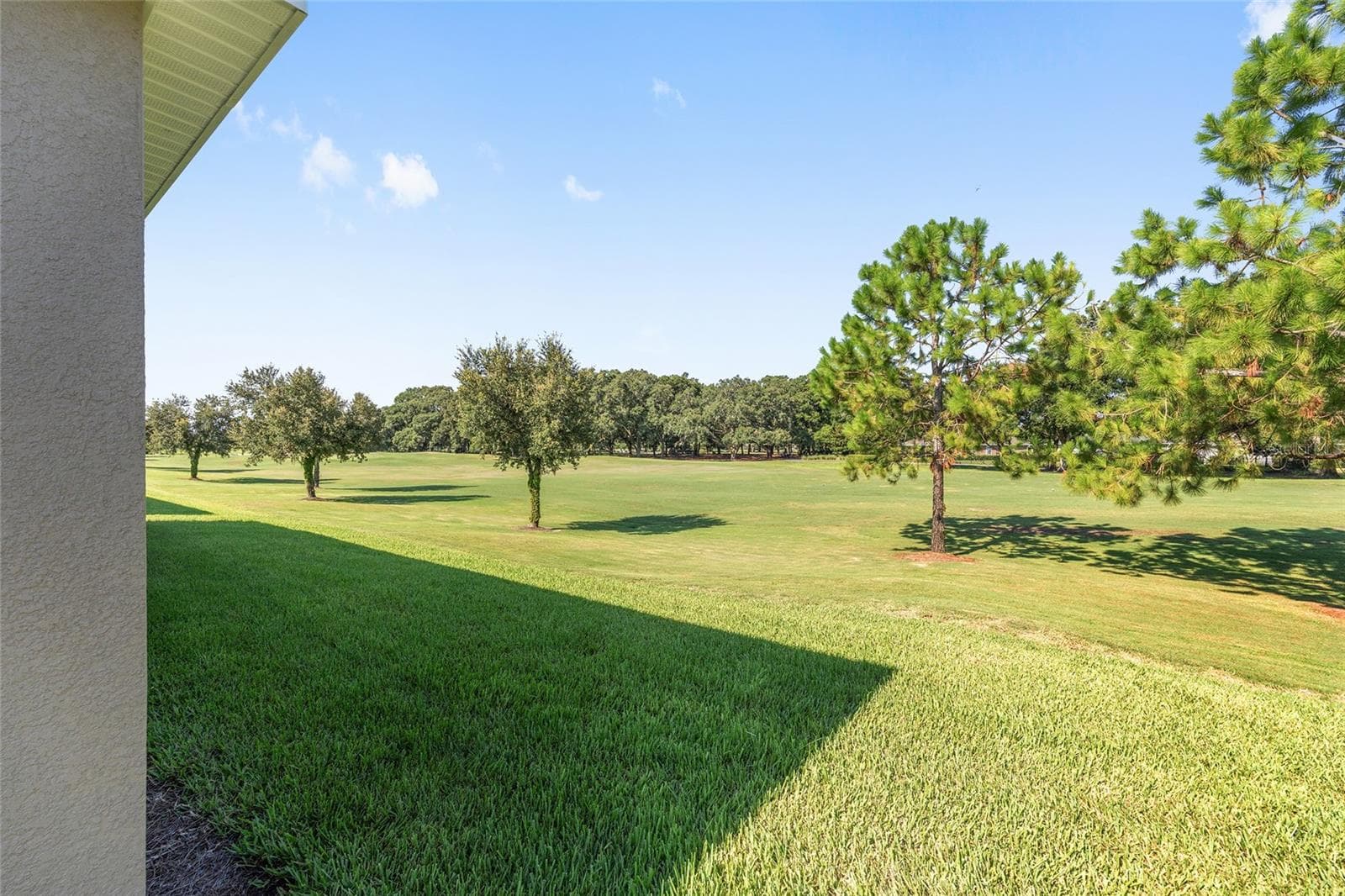 BACKYARD - 4974 NW 39TH LOOP, OCALA