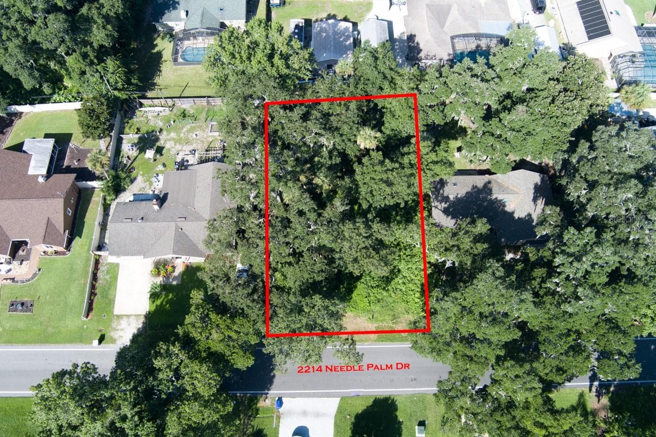 2214 NEEDLE PALM DR