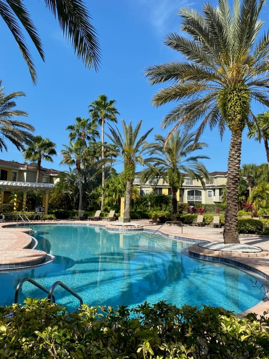 Community pool - 5711 BENTGRASS DR #19-211, SARASOTA