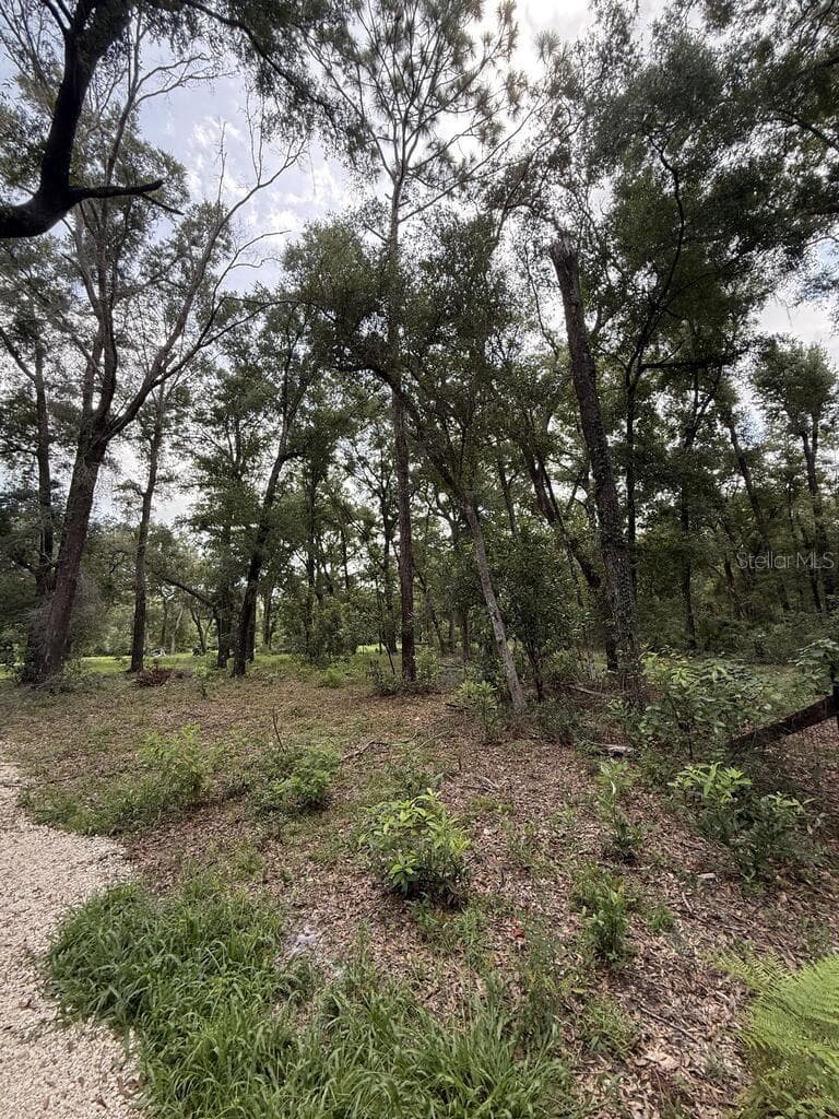 Land at 8431 NW 60 AVE, CHIEFLAND, photo 2 of 9