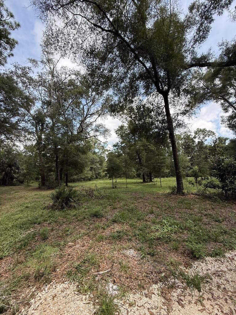 Land at 8431 NW 60 AVE, CHIEFLAND, photo 3 of 9