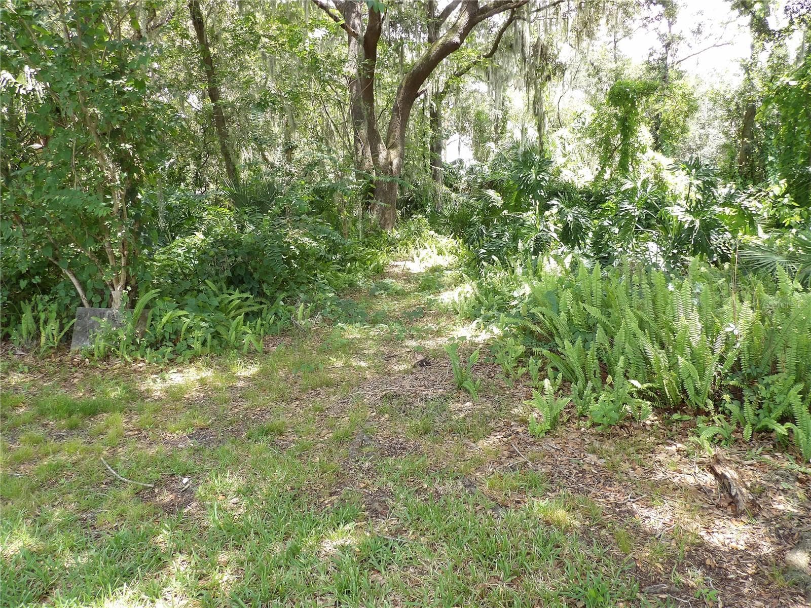 Single Family Residence at 6282 FORESTWOOD DR E, LAKELAND, photo 37 of 38