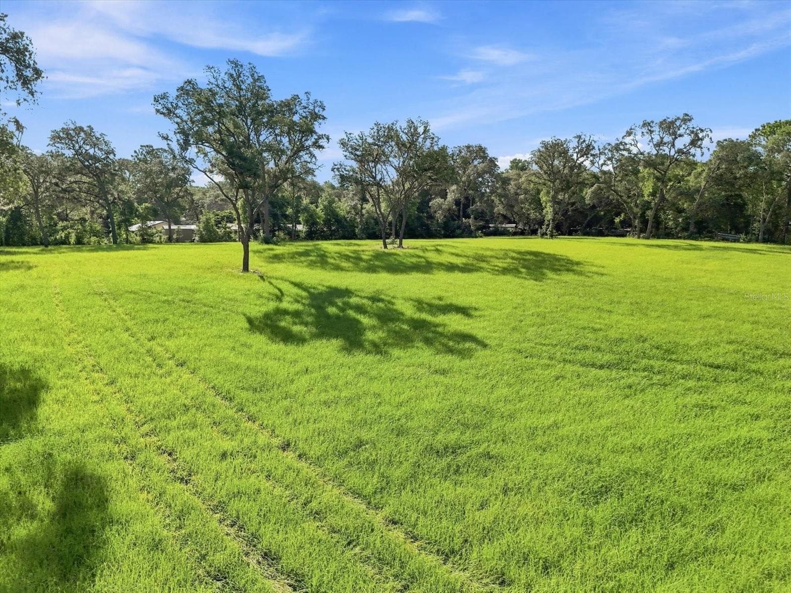 Land at 2720 E FAWN CT, INVERNESS, photo 4 of 17