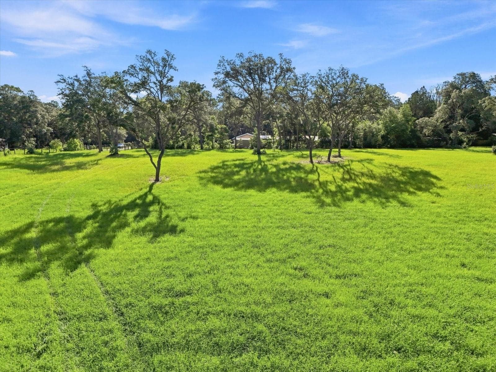 Land at 2720 E FAWN CT, INVERNESS, photo 6 of 17