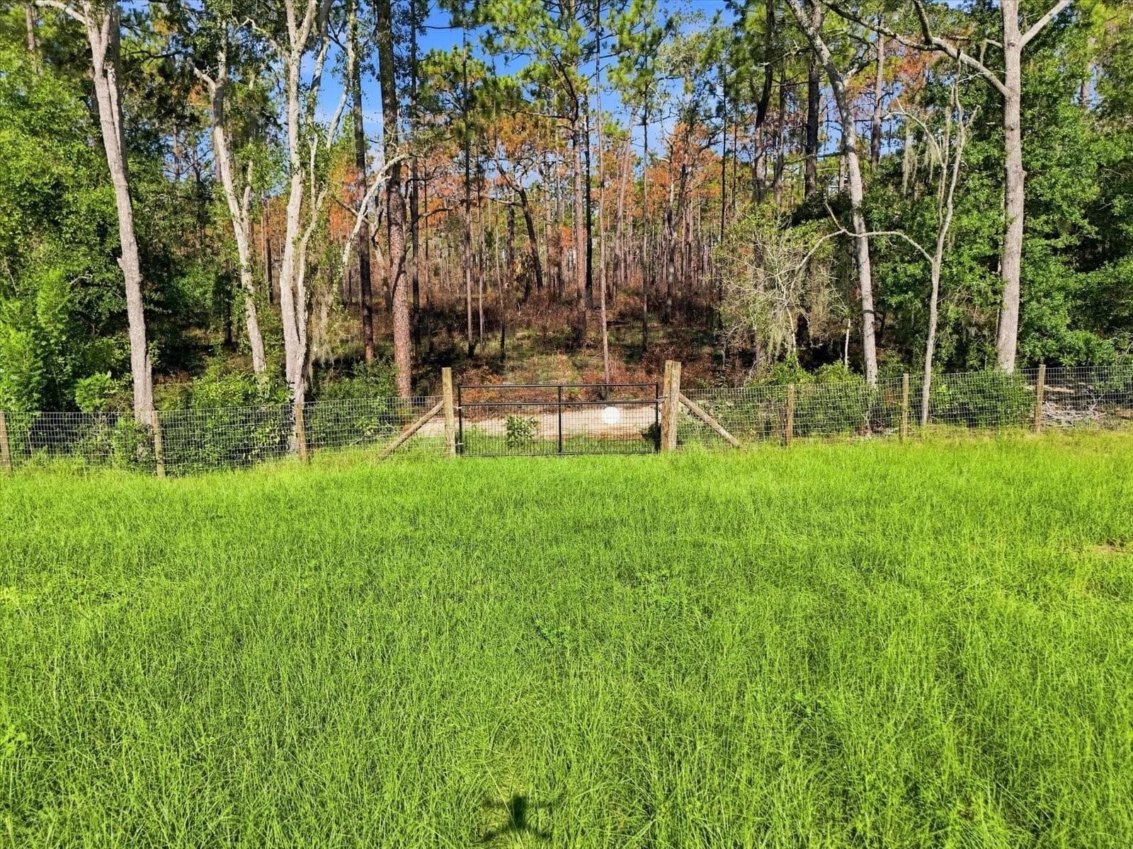 Land at 2720 E FAWN CT, INVERNESS, photo 9 of 17