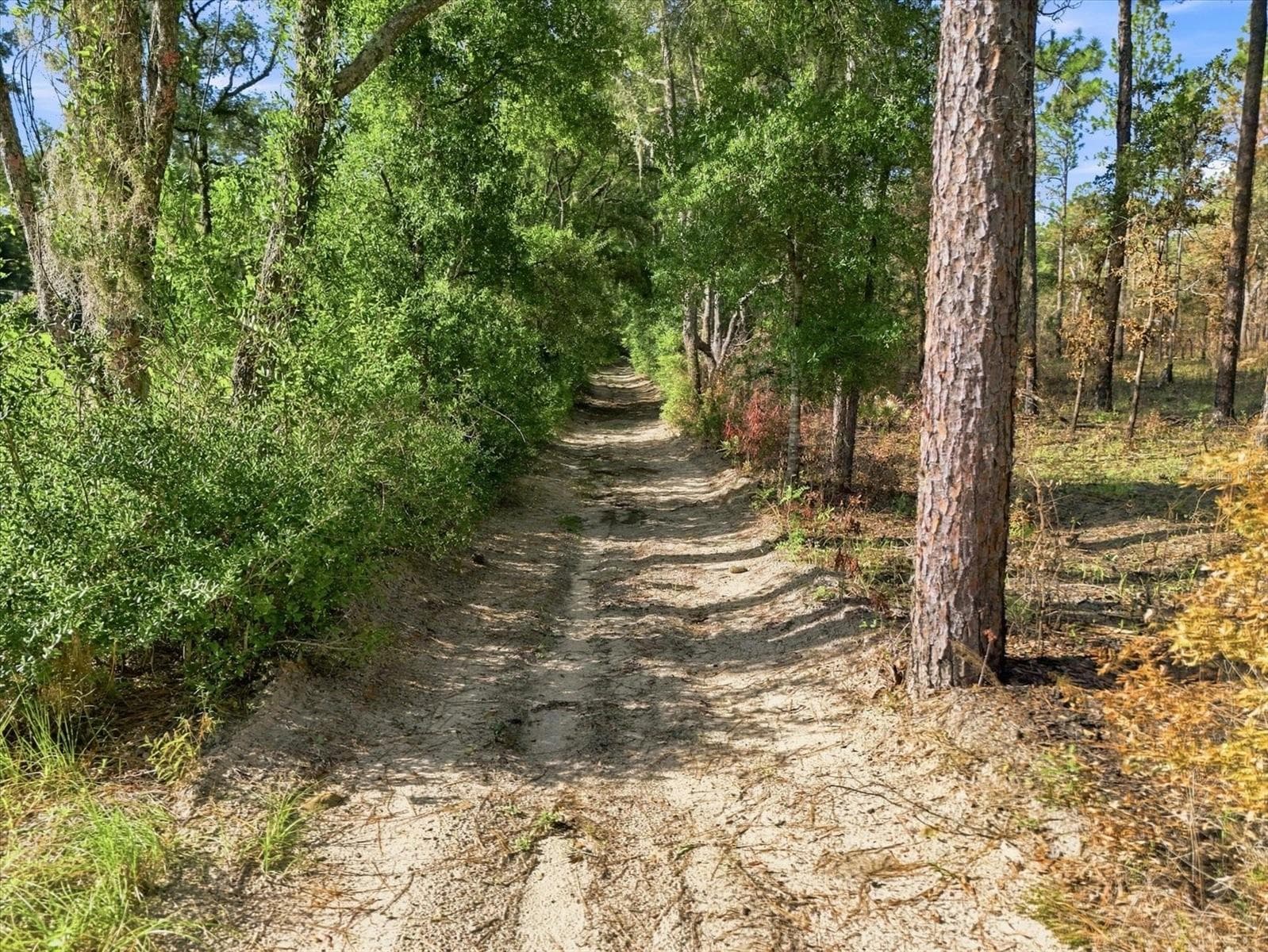 Land at 2720 E FAWN CT, INVERNESS, photo 12 of 17