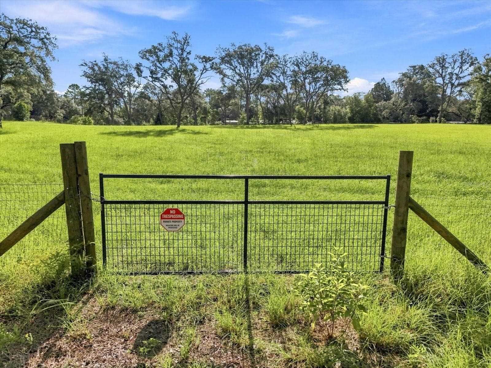 Land at 2720 E FAWN CT, INVERNESS, photo 13 of 17