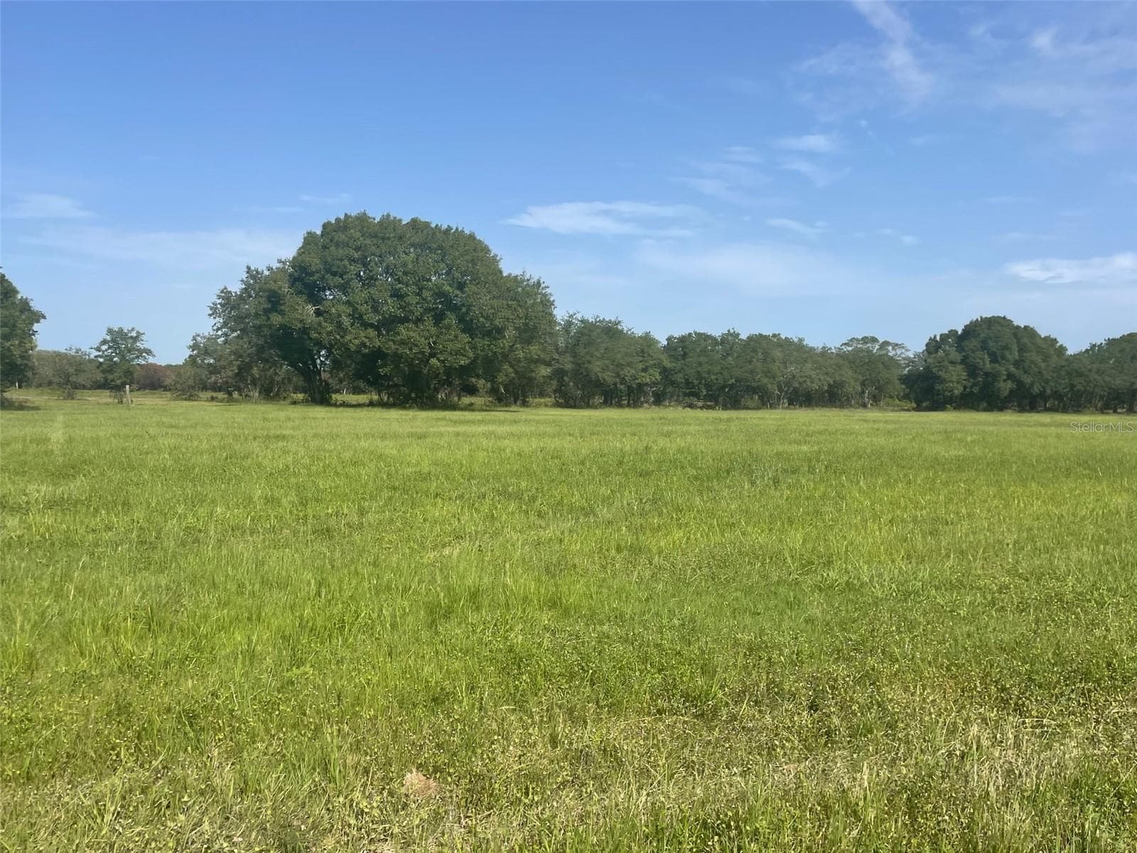 Land at 22100 HILL GRADE RD, CLEWISTON, photo 3 of 6