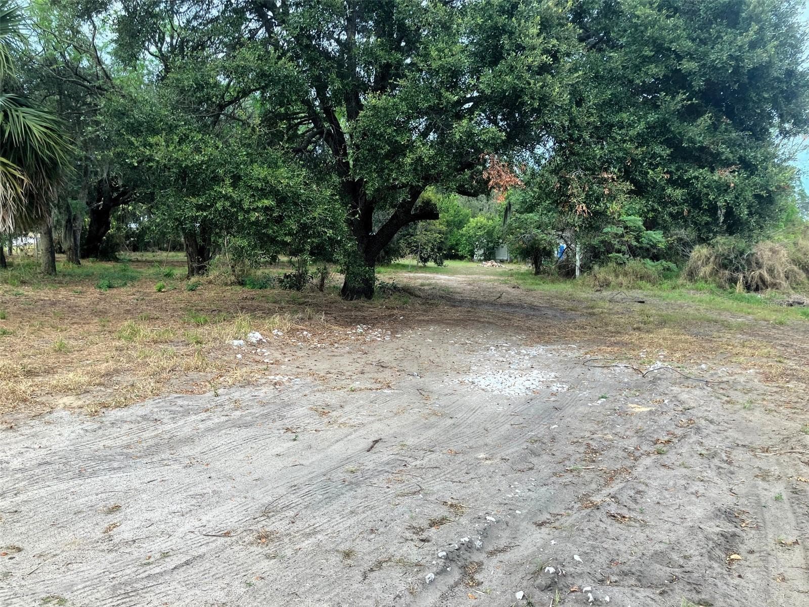 Land at 3852 RADFORD RD, BARTOW, photo 12 of 14