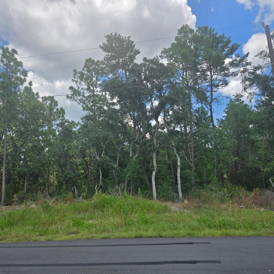 Land at TBD SW 62ND CT, OCALA, photo 2 of 6