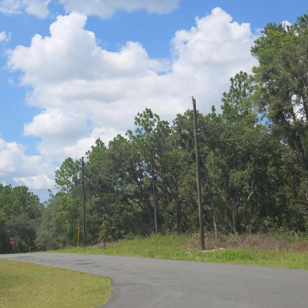 Land at TBD SW 62ND CT, OCALA, photo 3 of 6