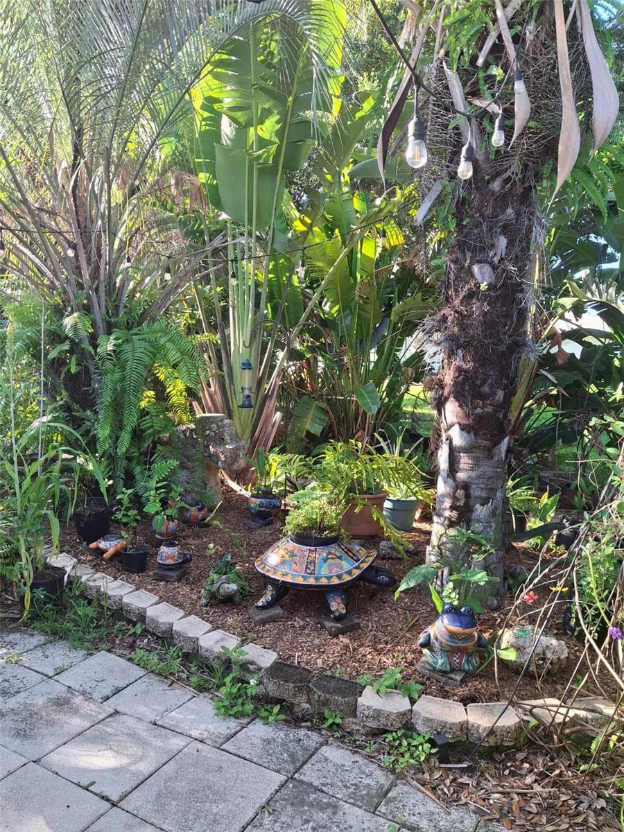 Backyard - 135 ENGLEWOOD HEIGHTS RD, ENGLEWOOD