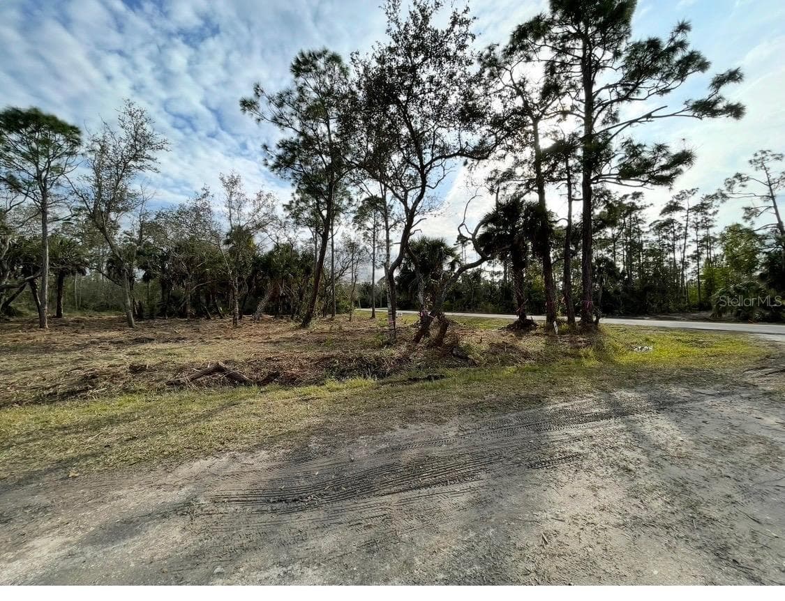 Land at 27051 SUEDE DR, PUNTA GORDA, photo 2 of 5