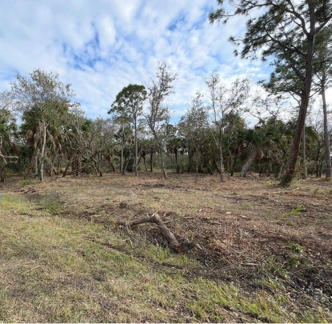 Land at 27051 SUEDE DR, PUNTA GORDA, photo 3 of 5