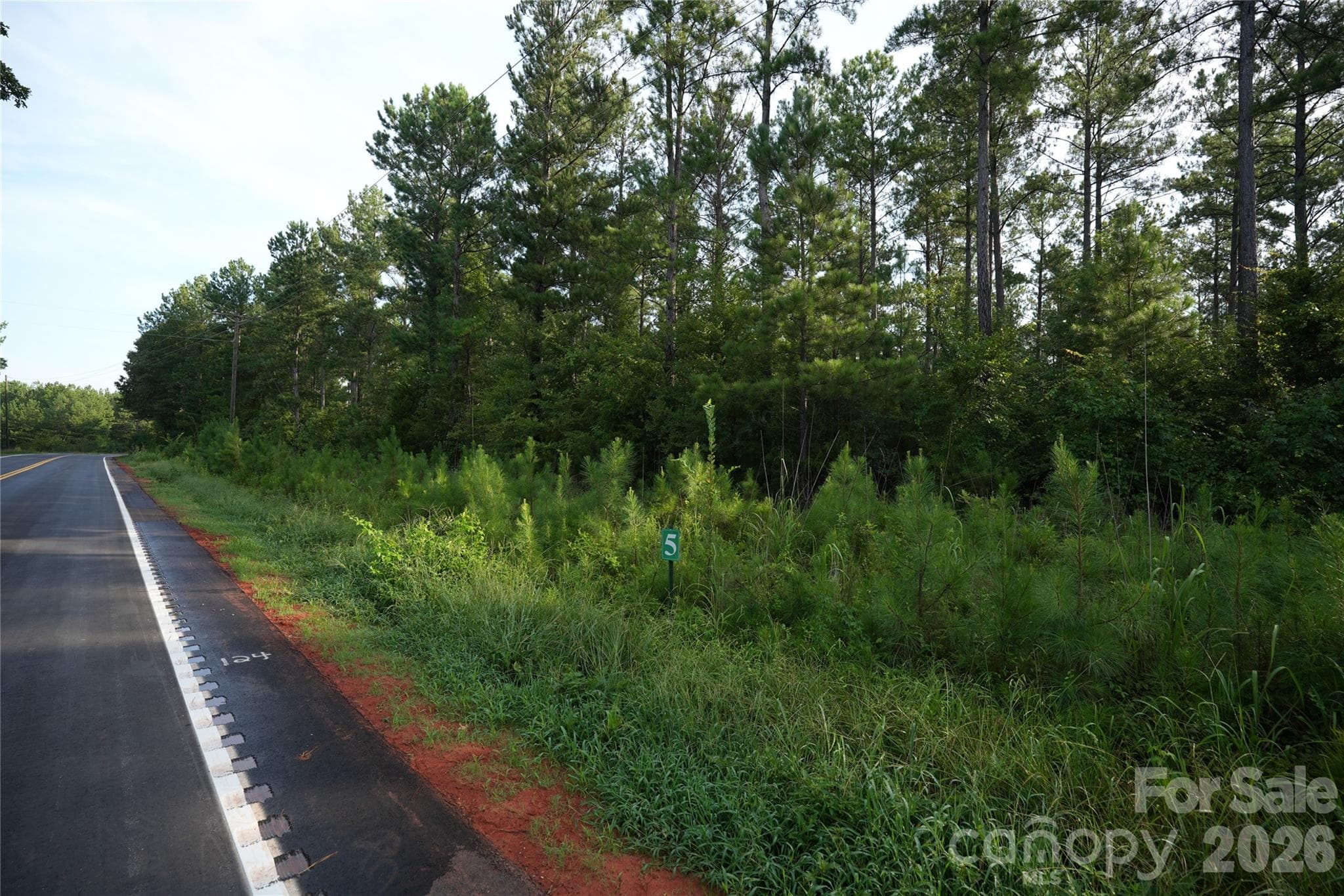 Acreage at Jonesville, photo 2 of 19