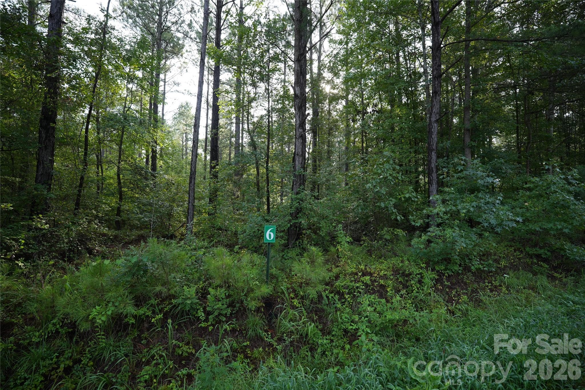 Acreage at Jonesville, photo 2 of 19