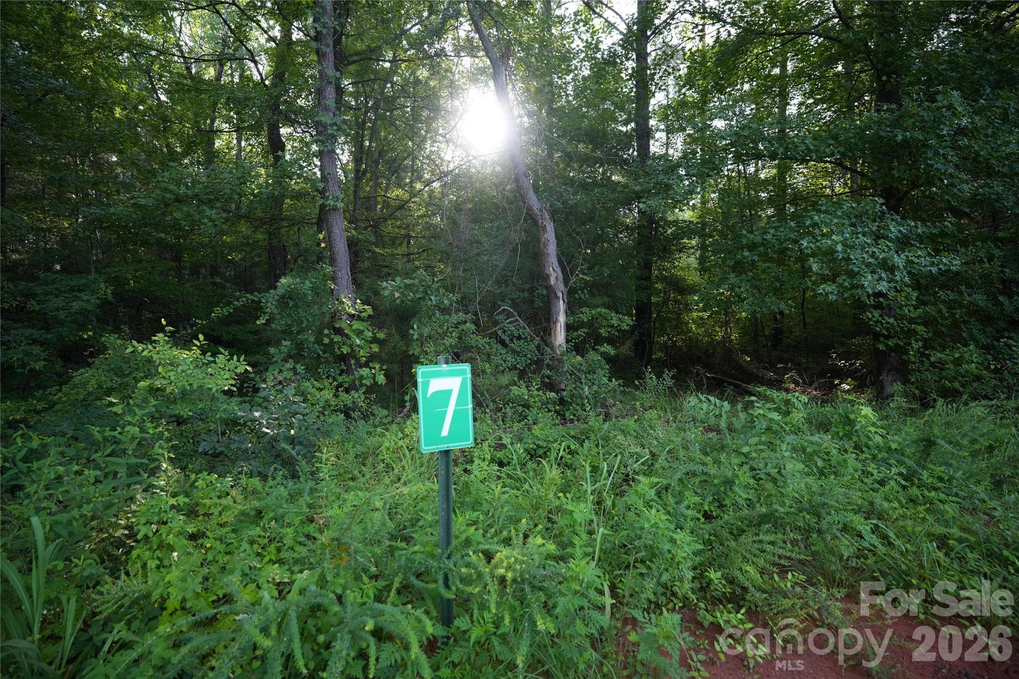Acreage at Jonesville, photo 2 of 22
