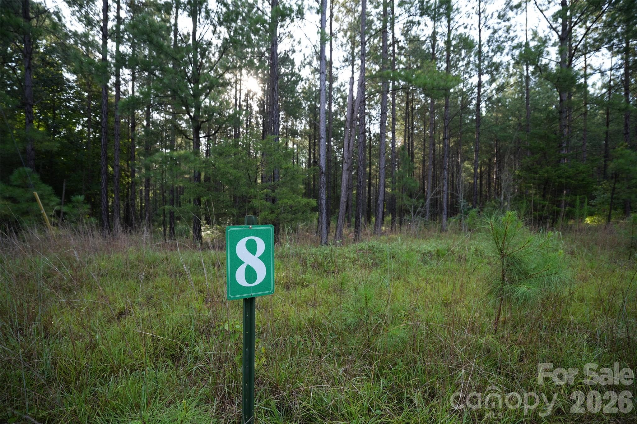 Acreage at Jonesville, photo 2 of 31