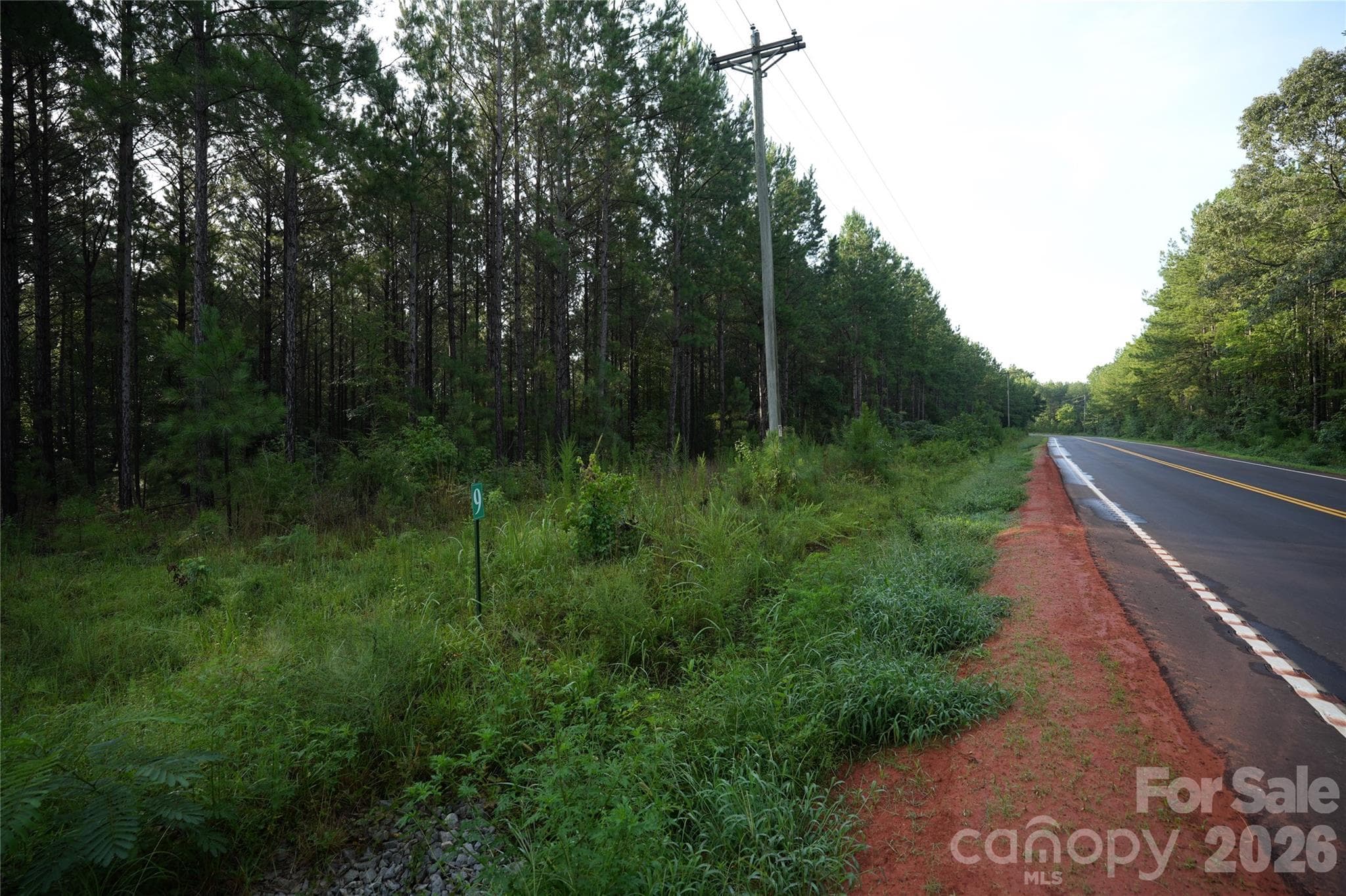 Acreage at Jonesville, photo 3 of 27