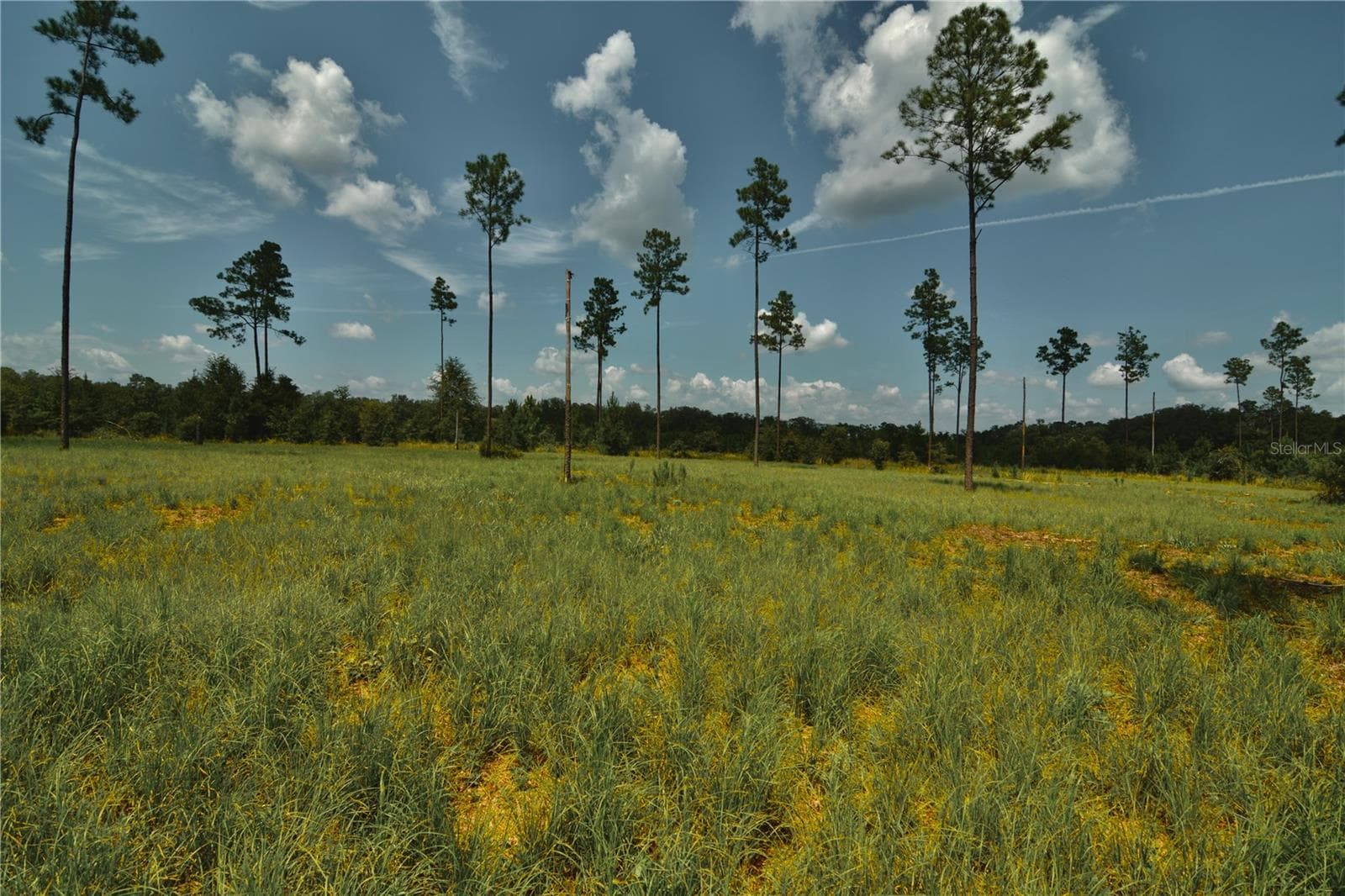 Land at 00 99TH LN, LIVE OAK, photo 2 of 52